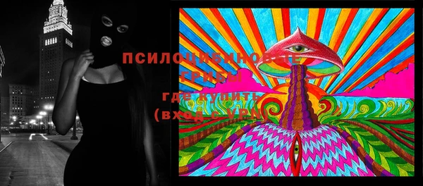 PSILOCYBIN Алзамай