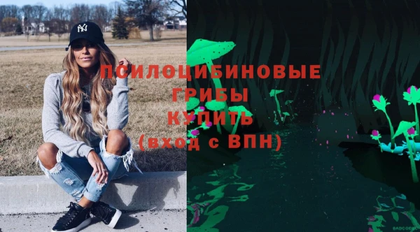 PSILOCYBIN Алзамай