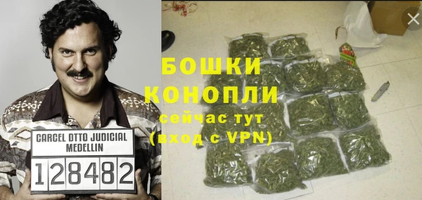PSILOCYBIN Алзамай