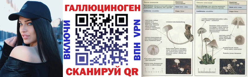 Галлюциногенные грибы прущие грибы  omg как зайти  Новосибирск  закладки 